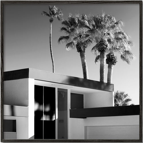 Black California - Palm Springs Modern Design II