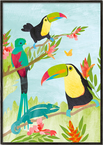 Tucan birds jungle