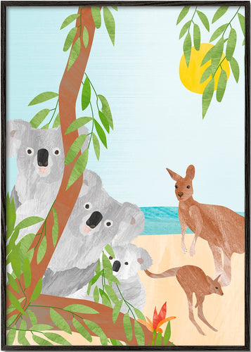 Koalas and kangaroos