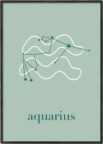 Aquarius Constellation Mint