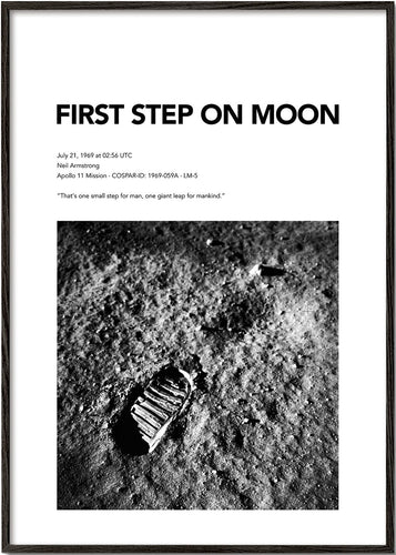 First  Step On Moon