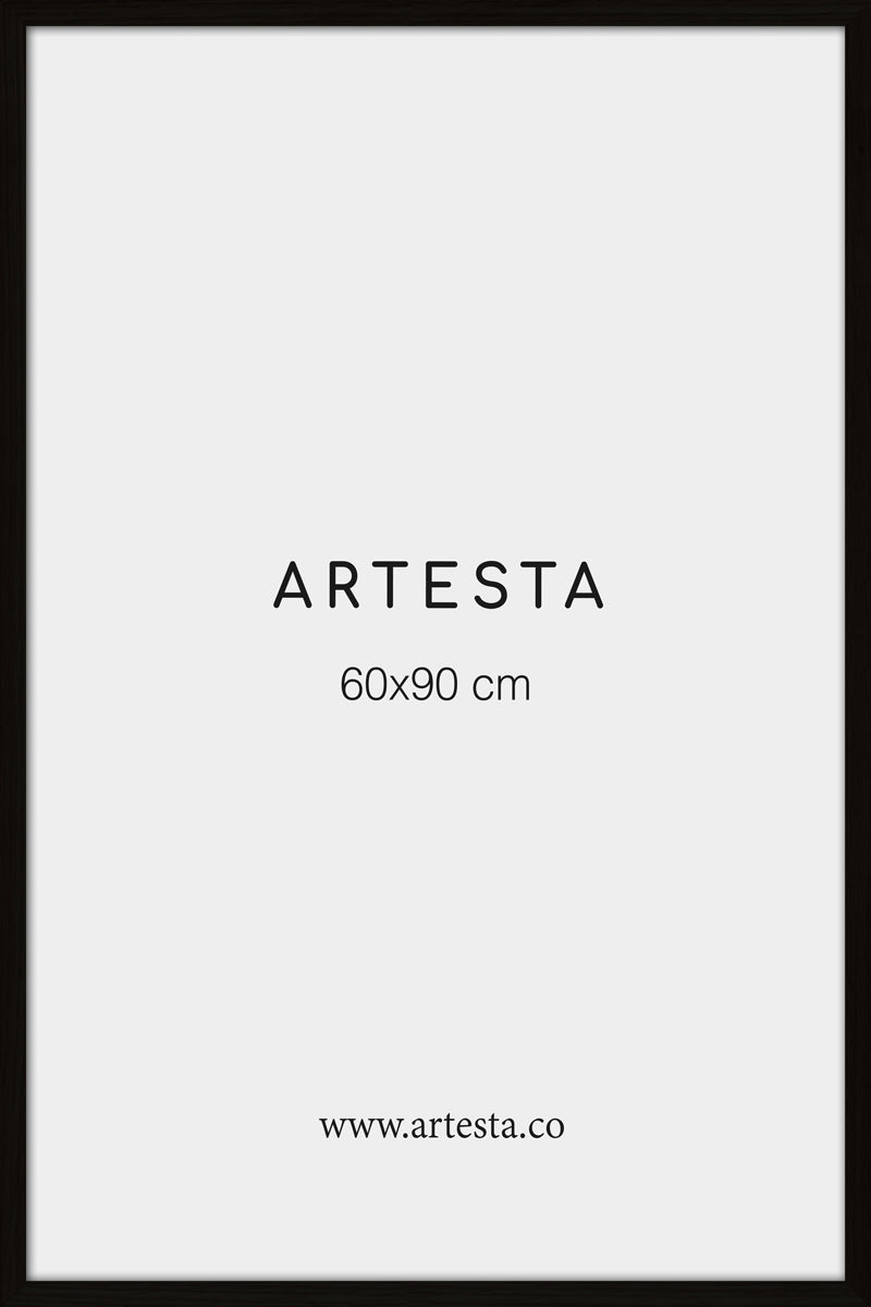 Cornice nera 60x90cm  Cornici per poster e quadri – Artesta
