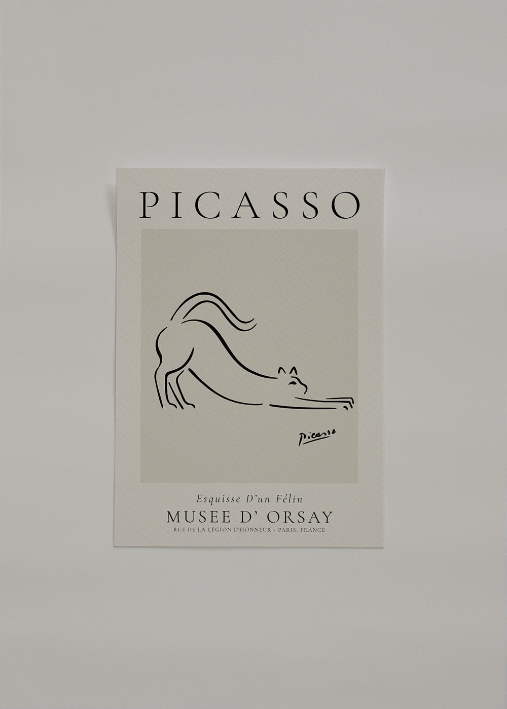 Pablo Picasso Animals Drawings the cat Esquisse D’un Félin